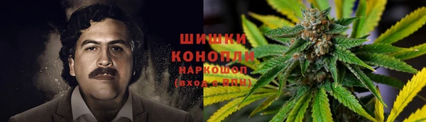 spice Армянск