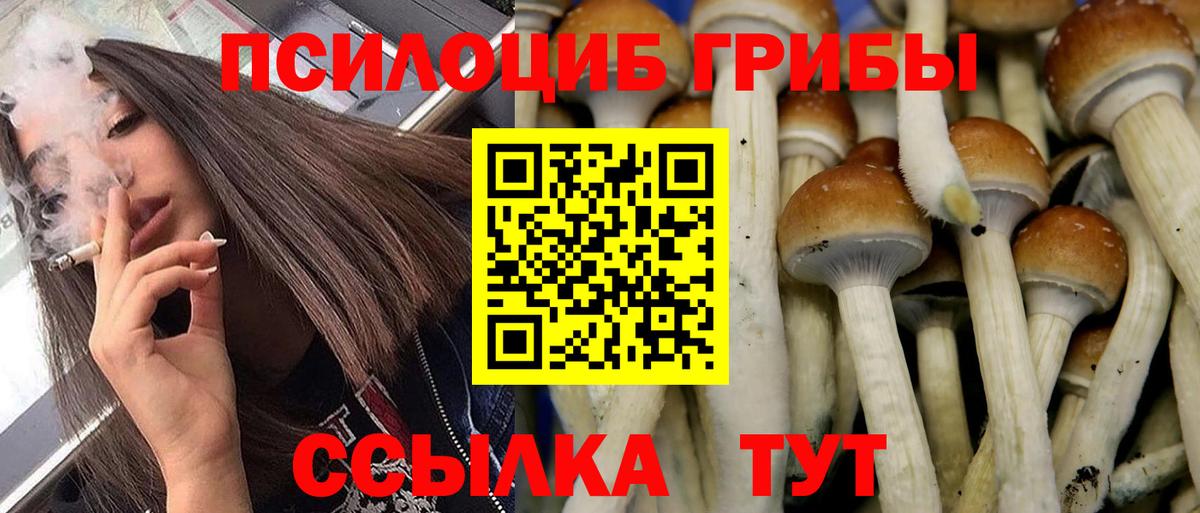 Псилоцибиновые грибы Magic Shrooms Рубцовск