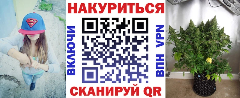 Шишки марихуана Amnesia  ссылка на мегу онион  Рубцовск  купить наркотики цена 